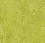 Forbo-Marmoleum-Real-3224-chartreuse